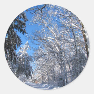 Redonda Pegatina pegajoso del ~ de la nieve 35