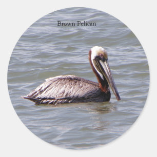 Redonda Pegatina Pelican de Brown