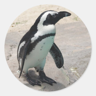 Redonda Pegatina Penquin
