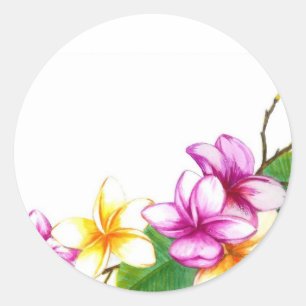 Redonda Pegatina Plumeria, flores temáticas tropicales