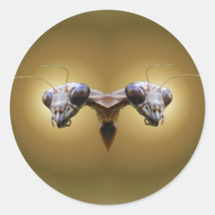 Redonda Pegatina principal del ~ del predicador 2