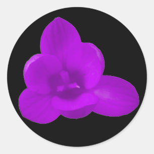 Redonda Pegatina Purple Crocus
