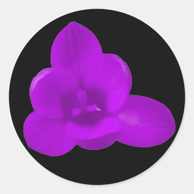 Redonda Pegatina Purple Crocus (Anverso)