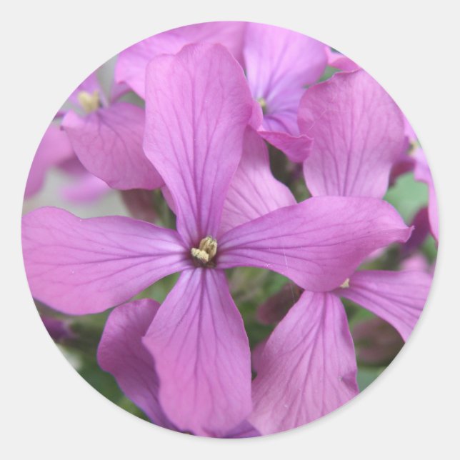 Redonda Pegatina Purple Wildflowers (Anverso)