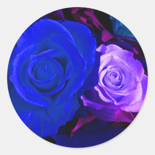 Redonda Pegatina púrpura azul de los rosas -