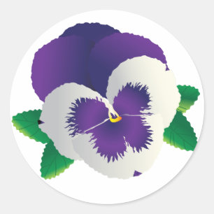 Redonda Pegatina Púrpura Pansy