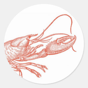 Redonda Pegatina Red Lobster