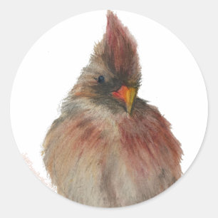 Redonda Pegatina Redbird