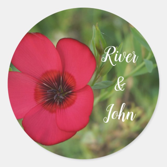 Redonda Pegatina redondo clásico de amor (Anverso)