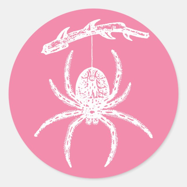 Redonda Pegatina redondo clásico de araña rosa (Anverso)