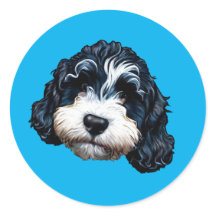 Pegatina redondo clásico de Cute Bernedoodle