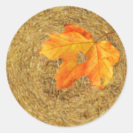 Redonda Pegatina redondo clásico de la cosecha del amor