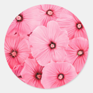 Redonda Pegatina redondo, SEMILLA GLOBAL, Grande, FELIZ