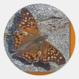 Redonda Pegatina rojizo de la mariposa de emperador