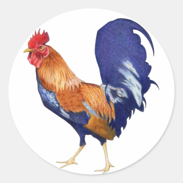 Redonda Pegatina Rooster (Anverso)