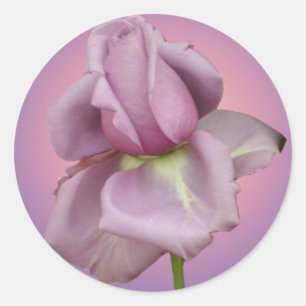 Redonda Pegatina rosa Lavender