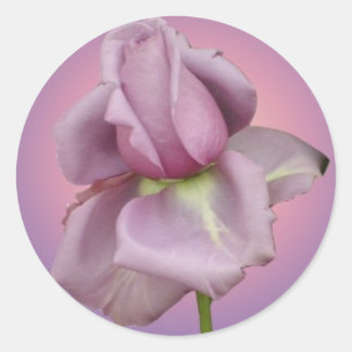 Redonda Pegatina rosa Lavender