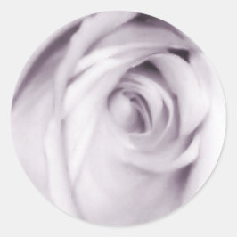 Redonda pegatina rosa púrpura