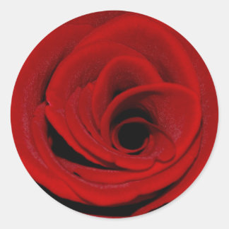 Redonda Pegatina Rosa Roja