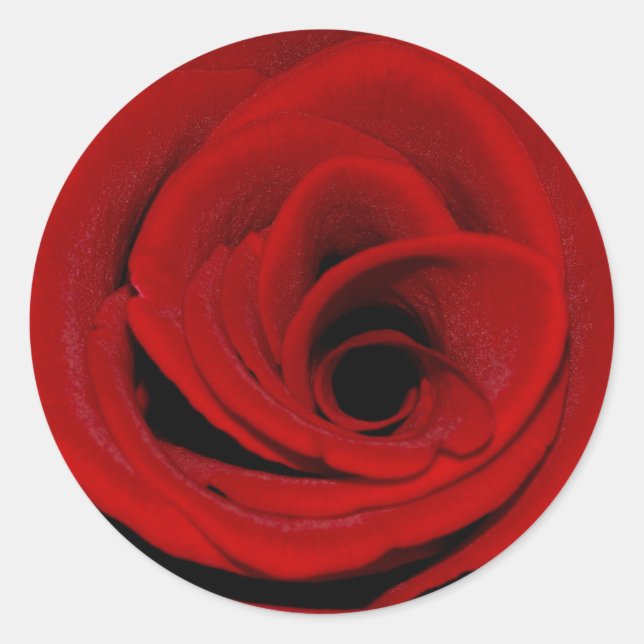 Redonda Pegatina Rosa Roja (Anverso)