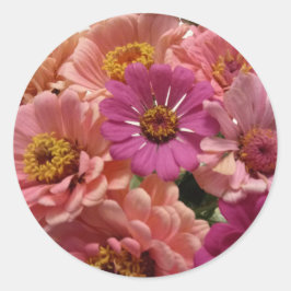Redonda Pegatina Rosa Zinnias