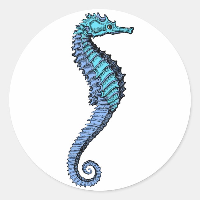 Redonda Pegatina Seahorse (Anverso)