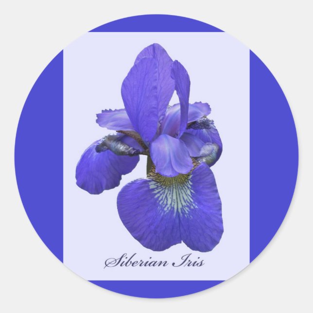 Redonda Pegatina Siberian Iris (Anverso)