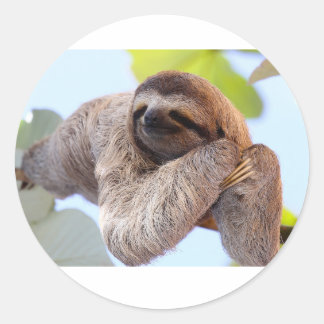Redonda Pegatina Sloth