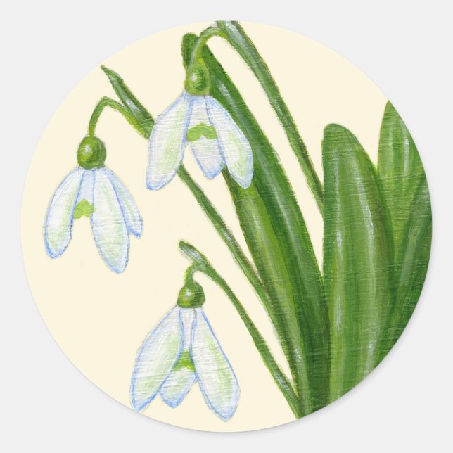 Redonda Pegatina Snowdrop (Anverso)