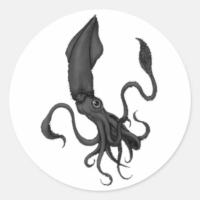 Redonda Pegatina Squid (Anverso)