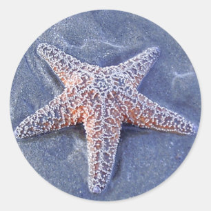 Redonda Pegatina Starfish