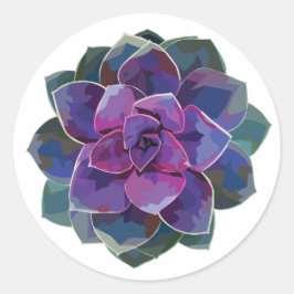 Redonda Pegatina Succulent