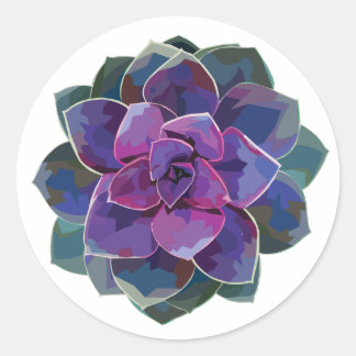 Redonda Pegatina Succulent