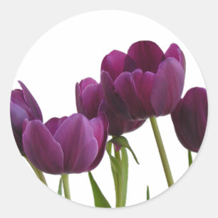 Redonda Pegatina Tulips