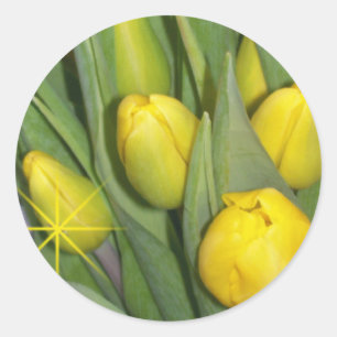 Redonda Pegatina Tulips