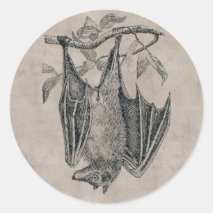 Redonda Pegatina Vintage Bat