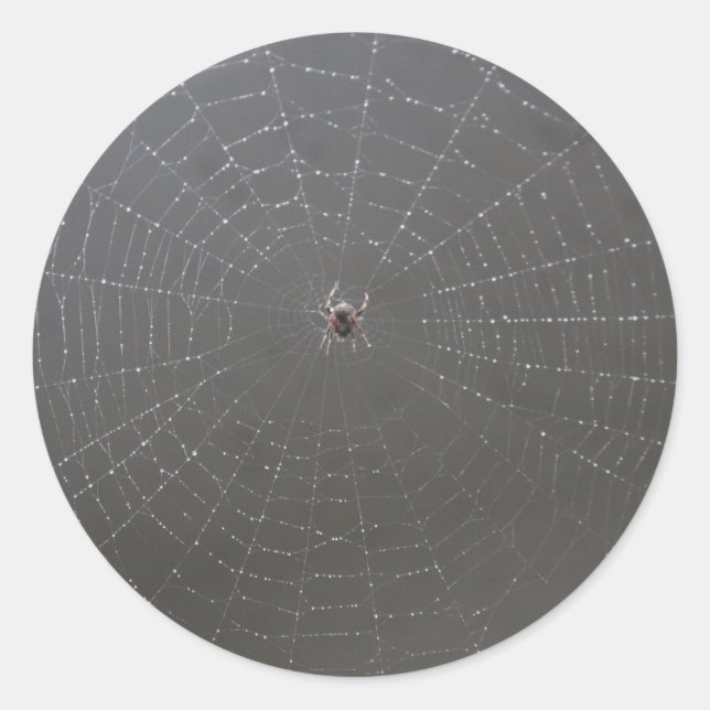 Redonda Pegatina web Spider (Anverso)