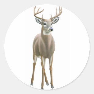 Redonda Pegatina Whitetail Buck