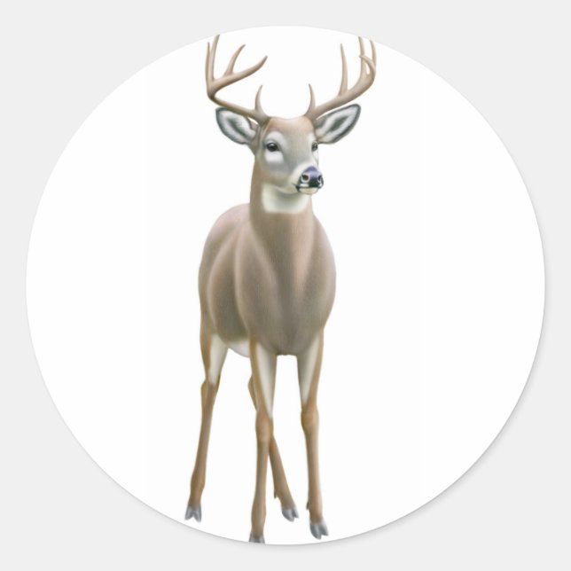 Redonda Pegatina Whitetail Buck (Anverso)