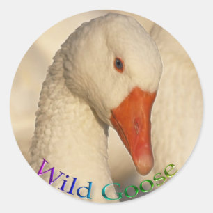Redonda Pegatina Wild White Goose Bird Wildlife