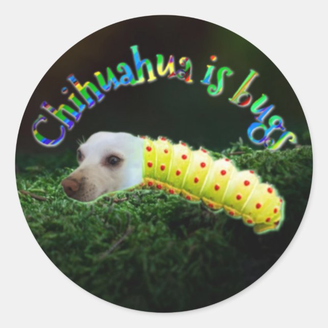 Redonda Penny bug pegatina (Anverso)