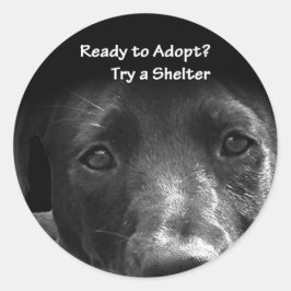Redonda perro pegatina de adopción mascota sin hogar