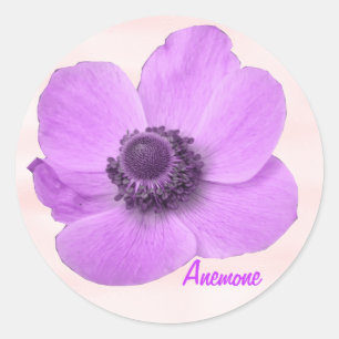 Redonda Personalizable Girly Pink Anemone Pegatina