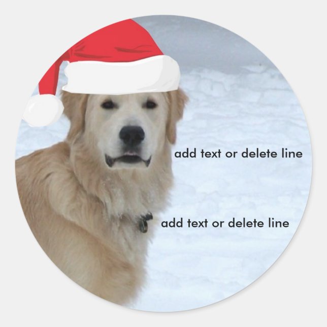 Redonda Personalizable Golden Retriever Santa Hat Pegatina (Anverso)
