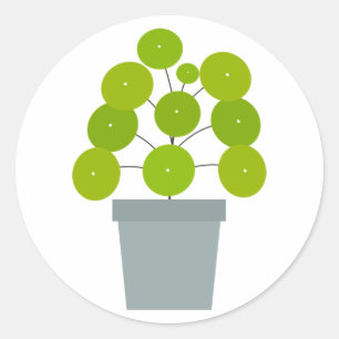 Redonda Pilea peperomioides Pegatina de plantas verdes