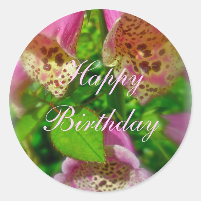 Redonda Pink Foxglove Happy Birday Pegatina (Anverso)