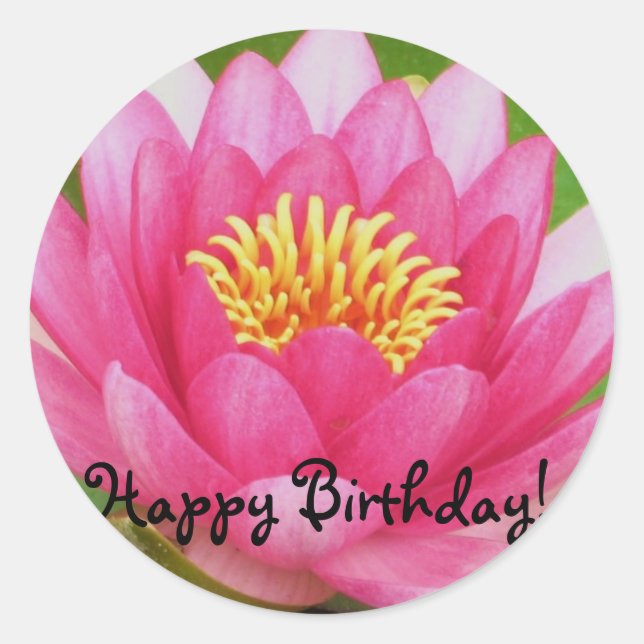 Redonda Pink Waterlily/Lotus Flower Birday Pegatina (Anverso)