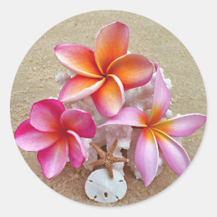 Redonda Plumeria y conchas en el Pegatina Sandy Beach