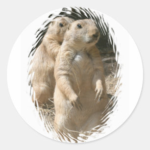 Redonda Prairie Dogs Pegatina