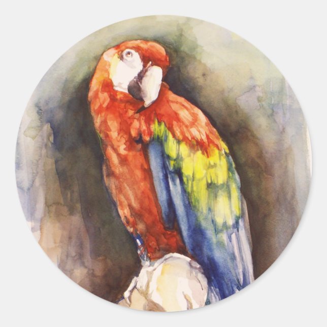 Redonda Precious Parrot Pegatina (Anverso)